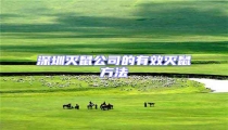 深圳滅鼠公司的有效滅鼠方法