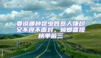 要說哪種昆蟲既惹人嫌卻又不得不面對,蟑螂喜提榜單前三