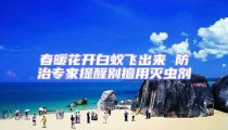春暖花開白蟻飛出來 防治專家提醒別擅用滅蟲劑