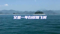 又是一年白蟻婚飛時
