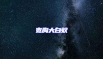 寬胸大白蟻