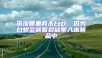 深圳哪里有殺白蟻,因為白蟻會順著裂縫爬入木制品中