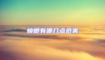 蟑螂有哪幾點危害