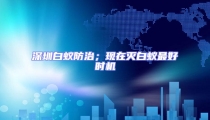 深圳白蟻防治;現在滅白蟻最好時機