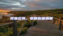 滅蟲公司,老鼠也是禍首