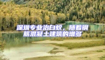 深圳專業治白蟻,隨著鋼筋混凝土建筑的增多