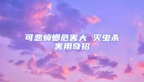 可惡蟑螂危害大 滅蟲殺害用奇招