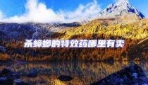 殺蟑螂的特效藥哪里有賣