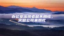 辦公室出現老鼠不用慌,滅鼠公司來幫忙