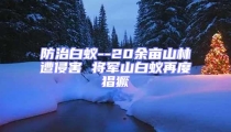 防治白蟻--20余畝山林遭侵害 將軍山白蟻再度猖獗
