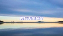 如何滅絕蟑螂
