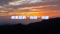 褐家鼠的“自愈”功能