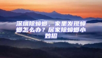 深圳除蟑螂,家里發現蟑螂怎么辦?居家除蟑螂小妙招