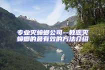 專業滅蟑螂公司--教您滅蟑螂的最有效的方法介紹