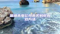 深圳殺蟲公司殺滅螞蟻有效方法