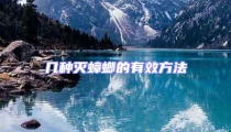 幾種滅蟑螂的有效方法