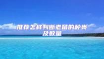 推薦怎樣判斷老鼠的種類及數量