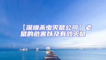 【深圳殺蟲滅鼠公司】老鼠的危害以及有效滅鼠