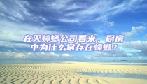 在滅蟑螂公司看來,廚房中為什么常存在蟑螂?