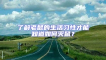 了解老鼠的生活習性才能知道如何滅鼠?