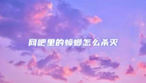 網吧里的蟑螂怎么殺滅