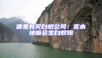 哪里有滅白蟻公司:實木地板會生白蟻嗎