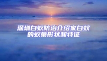 深圳白蟻防治介紹家白蟻的蟻巢形狀和特征