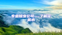 專業除蟲公司---了解花露水