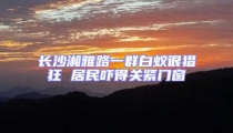 長沙湘雅路一群白蟻很猖狂 居民嚇得關緊門窗