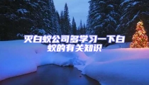 滅白蟻公司多學習一下白蟻的有關知識