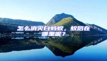 怎么消滅白螞蟻，蟻后在哪里呢？
