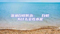 深圳白蟻防治:  白蟻為什么會吃水泥