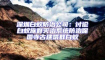 深圳白蟻防治公司:討論白蟻族群滅治系統防治保國寺古建筑群白蟻