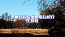深圳白蟻防治細(xì)說(shuō)白蟻分工屬性