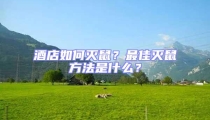 酒店如何滅鼠?最佳滅鼠方法是什么?