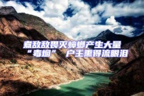 煮敵敵畏滅蟑螂產生大量“毒煙” 戶主熏得流眼淚