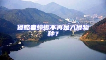 侵略者蟑螂不再是入侵物種?