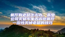 餐廳有老鼠怎么辦,殺蟲公司滅鼠專家告訴您餐廳一次性滅掉老鼠的技巧