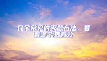 幾個常見的滅鼠方法,看看哪個更有效