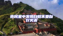 市民家中發(fā)現(xiàn)白蟻不要自行滅殺