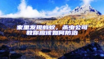 家里發(fā)現(xiàn)螞蟻,殺蟲公司教你應該如何防治
