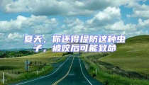 夏天,你還得提防這種蟲子,被咬后可能致命