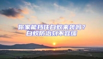 你家能擋住白蟻來襲嗎?白蟻防治刻不容緩
