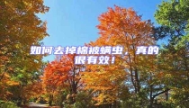 如何去掉棉被螨蟲,真的很有效!