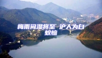 梅雨悶濕將至 滬人為白蟻惱