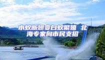 水蟻斷翅變白蟻繁殖 北海專家向市民支招