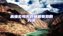 殺蟲公司滅蒼蠅最有效的方法