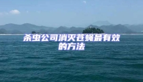 殺蟲公司消滅蒼蠅最有效的方法