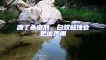 噴了殺蟲劑,白蟻蛀蝕會更加嚴重