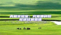 真相實驗室:究竟哪種防蚊途徑最靠譜